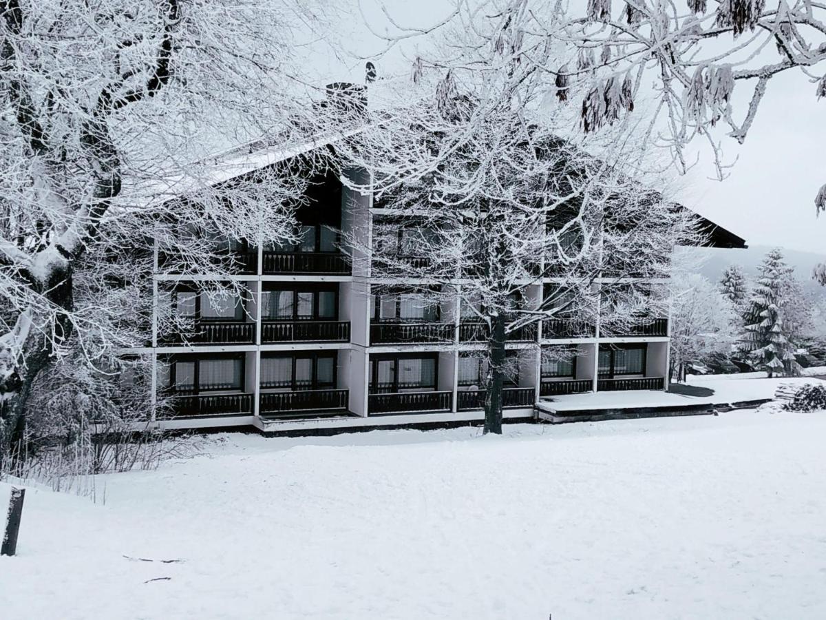 Winterwohnung Almberg Mitterfirmiansreut Exterior photo
